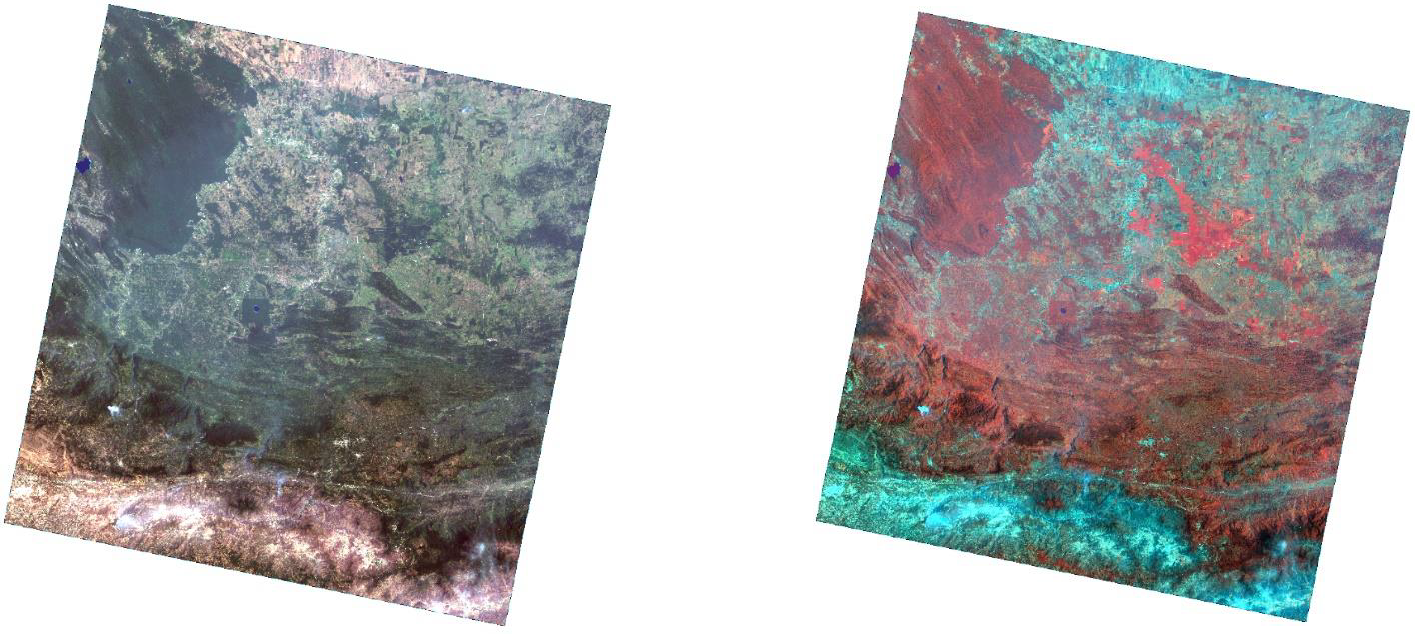 Comparison